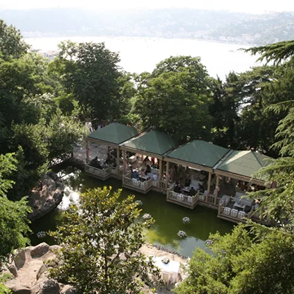 Şehzade 6