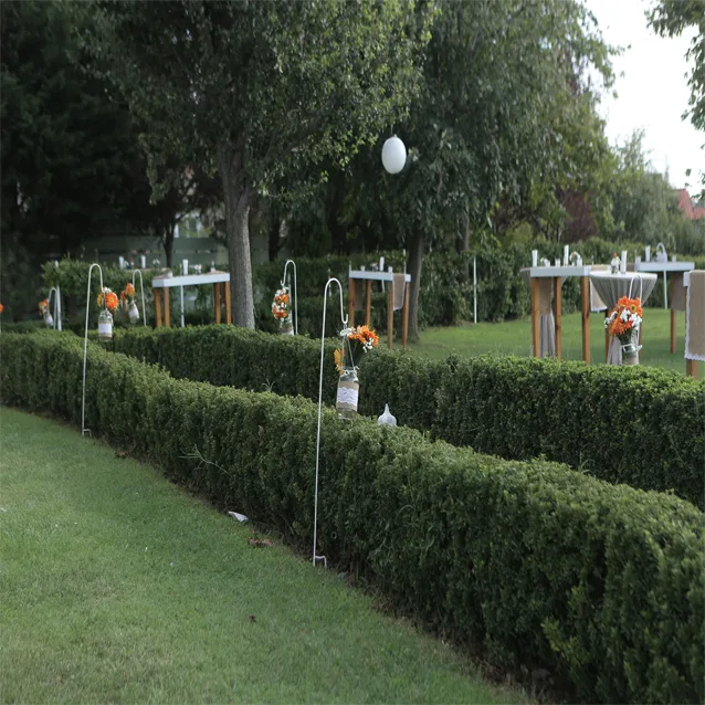 Düğün & Davet 3