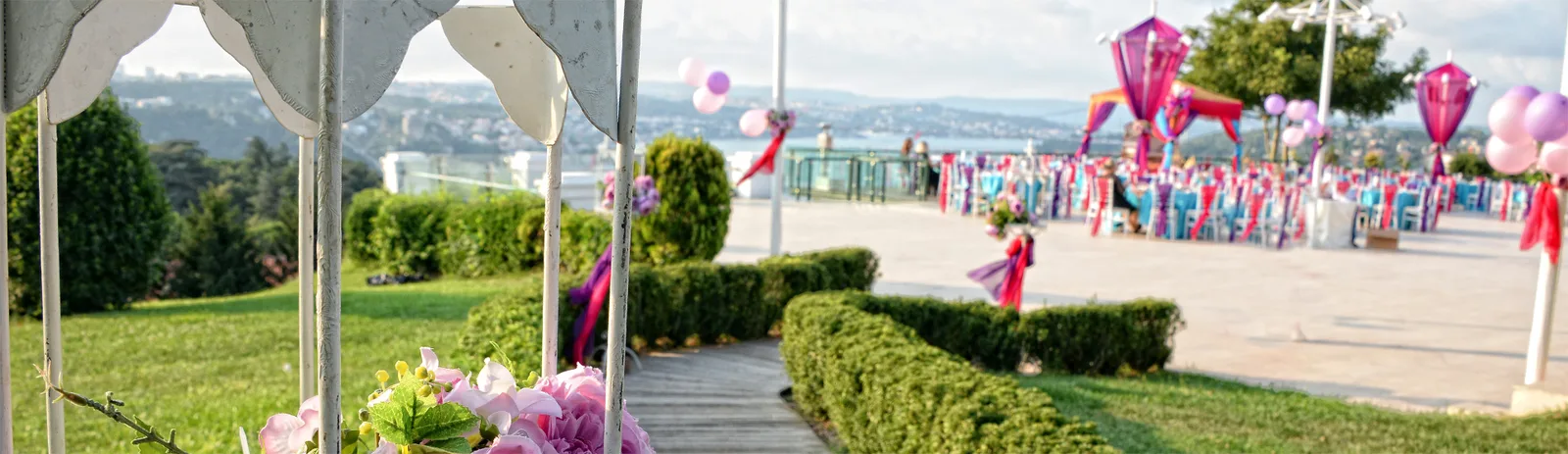 Kır Tepe 24