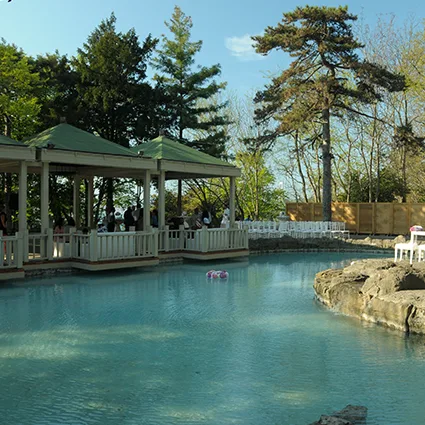 Şehzade 12